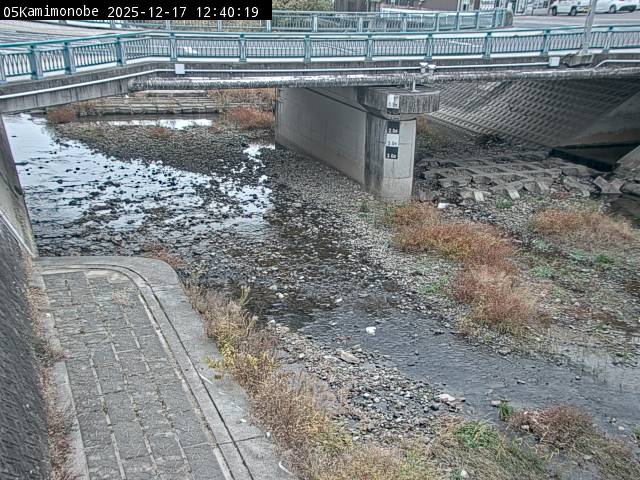 最新監視カメラ画像