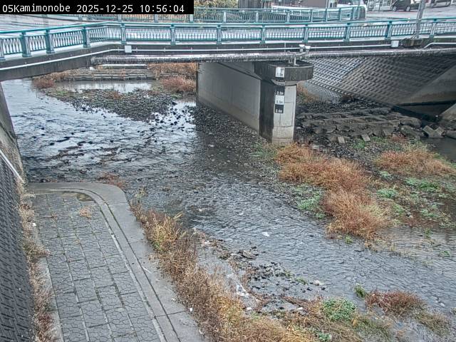 最新監視カメラ画像