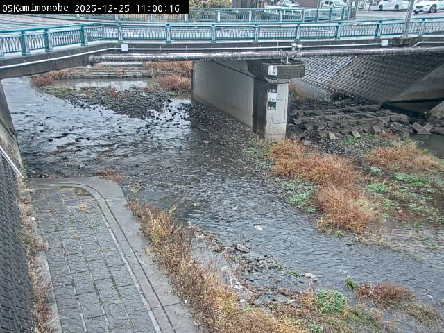 最新監視カメラ画像