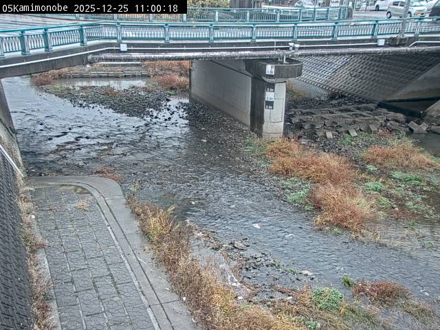 最新監視カメラ画像