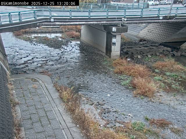 最新監視カメラ画像