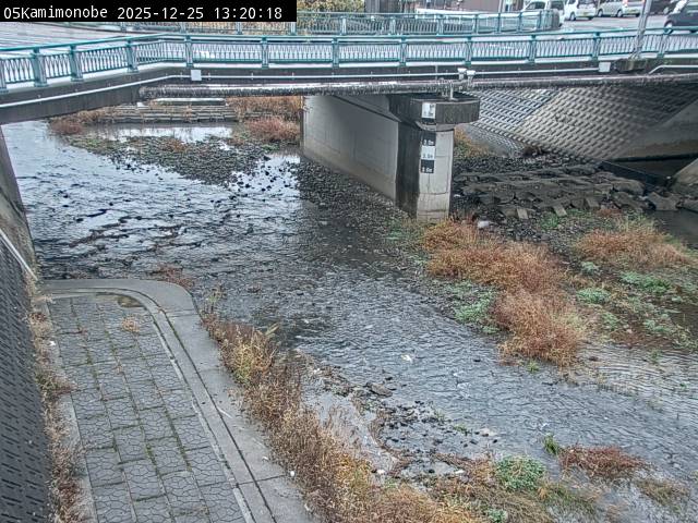 最新監視カメラ画像