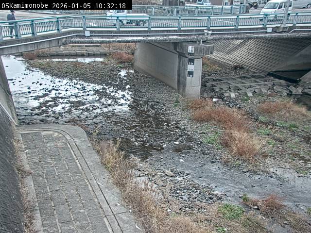 最新監視カメラ画像