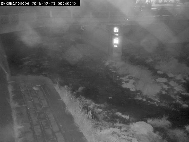 最新監視カメラ画像