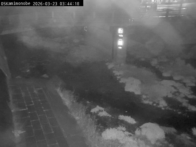 最新監視カメラ画像