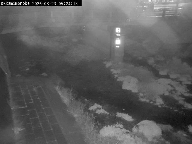 最新監視カメラ画像