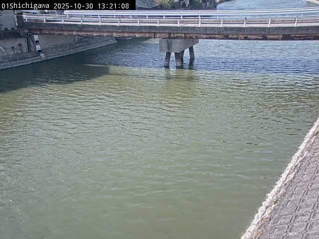 最新監視カメラ画像