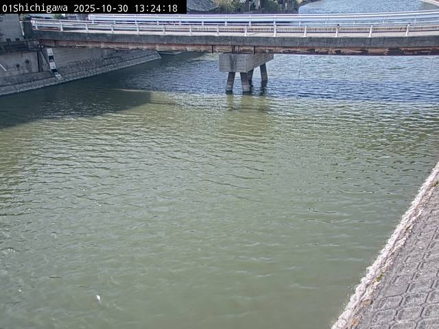 最新監視カメラ画像