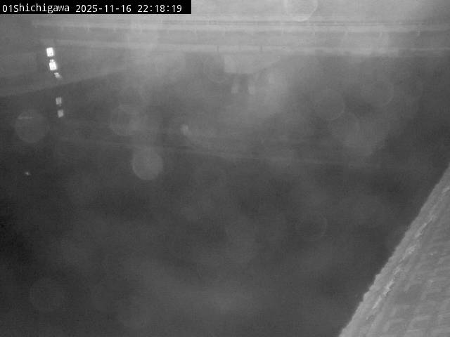 最新監視カメラ画像