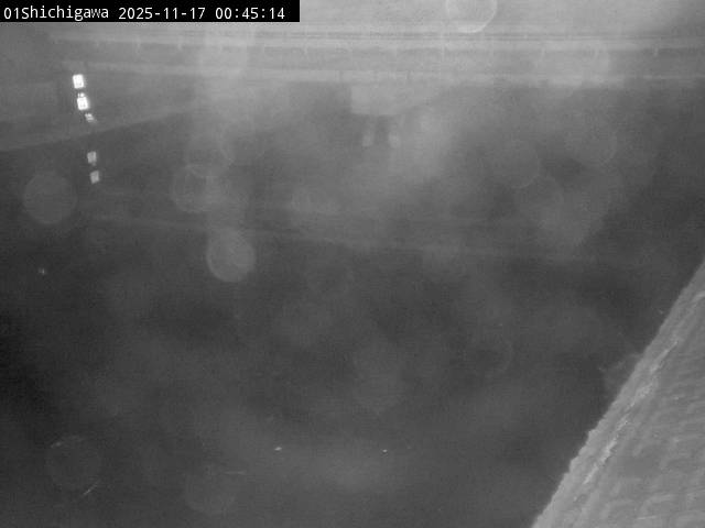 最新監視カメラ画像