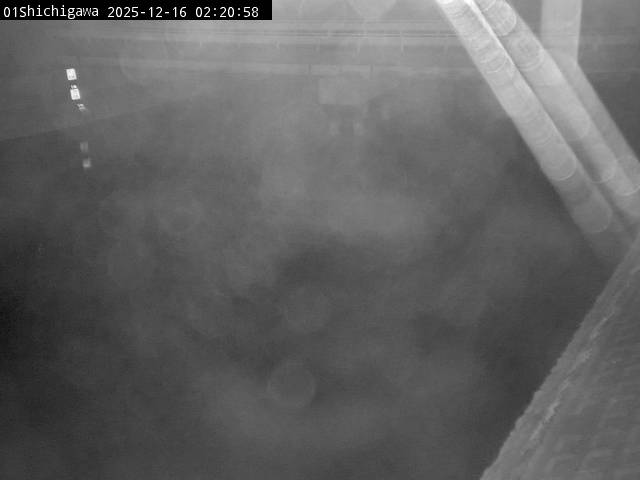 最新監視カメラ画像