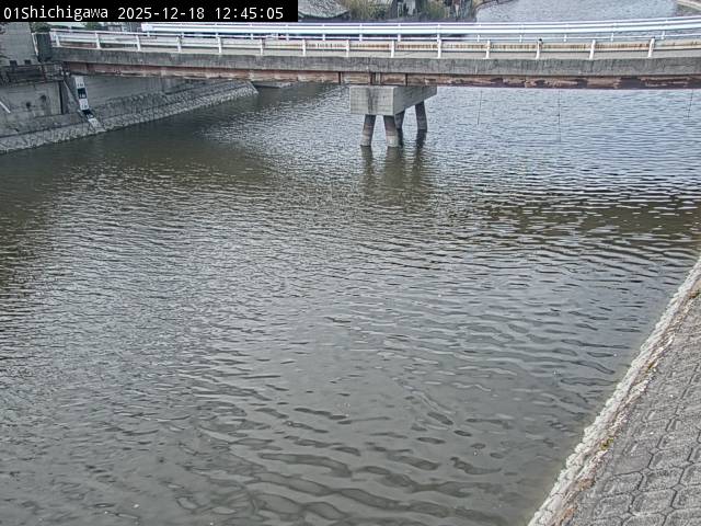 最新監視カメラ画像