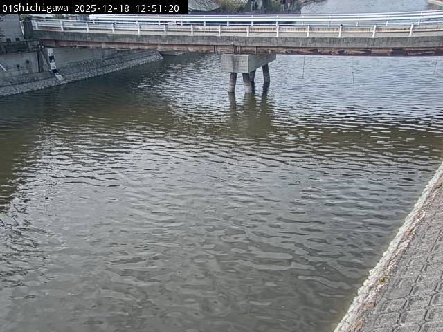 最新監視カメラ画像