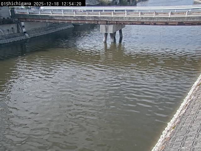 最新監視カメラ画像