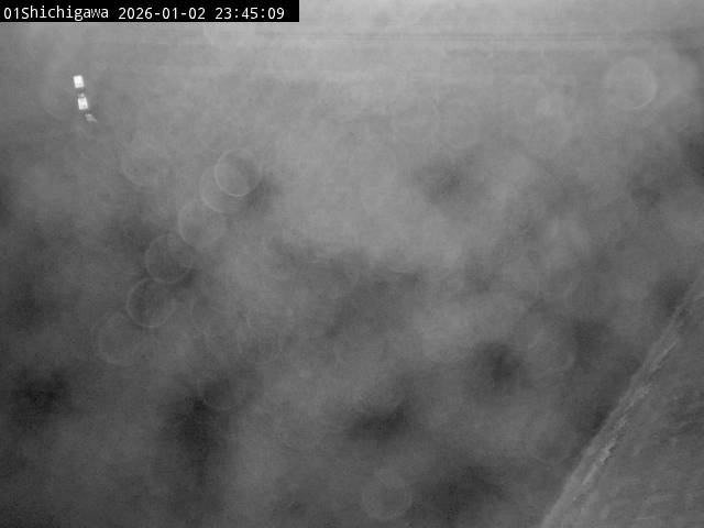 最新監視カメラ画像