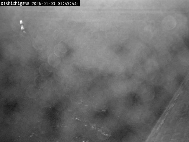 最新監視カメラ画像