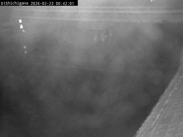 最新監視カメラ画像