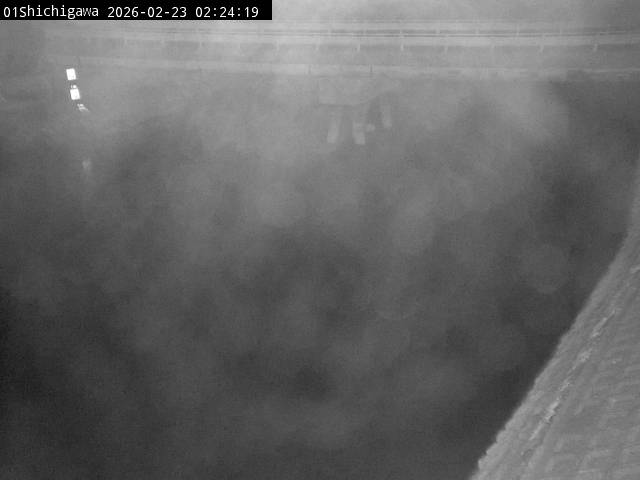 最新監視カメラ画像