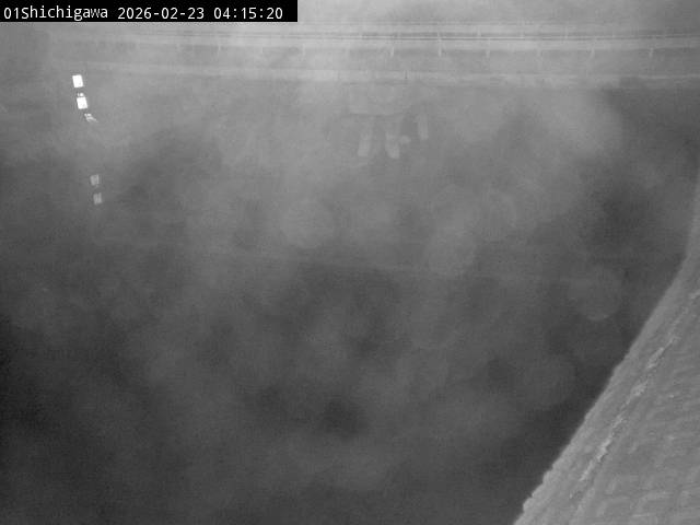 最新監視カメラ画像