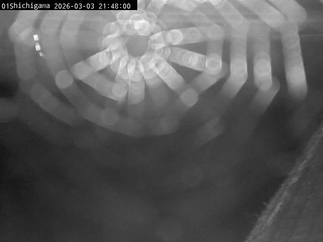 最新監視カメラ画像