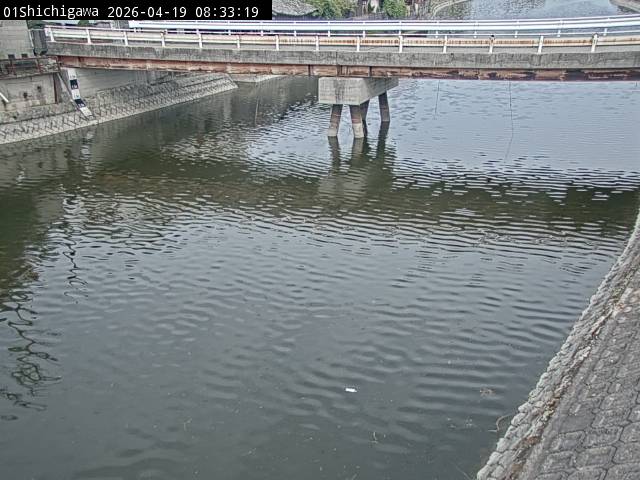 最新監視カメラ画像