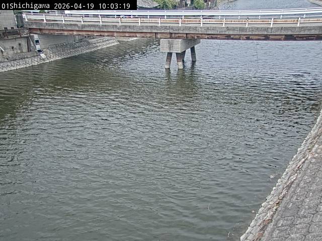 最新監視カメラ画像