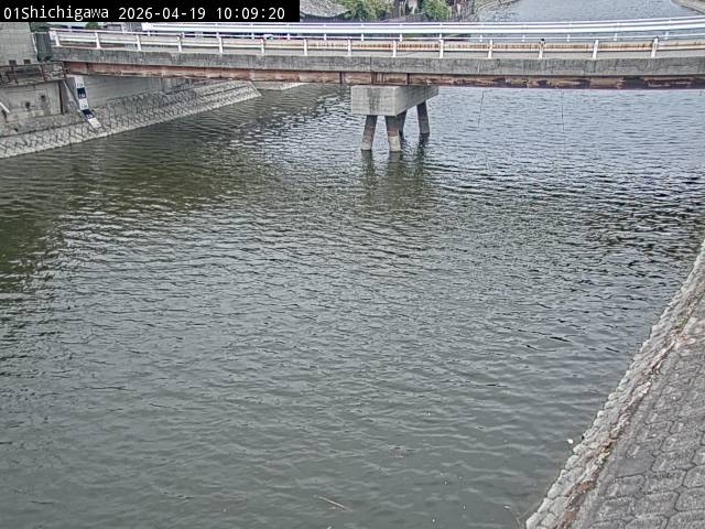 最新監視カメラ画像