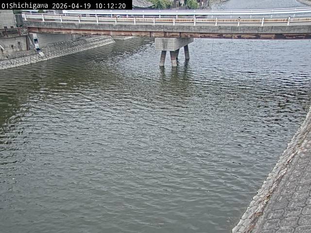 最新監視カメラ画像