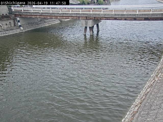 最新監視カメラ画像