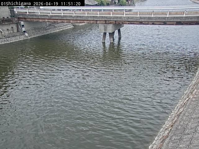 最新監視カメラ画像