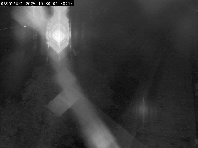 最新監視カメラ画像