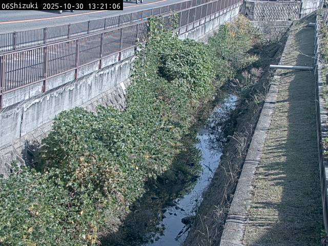 最新監視カメラ画像