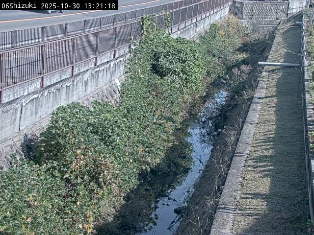 最新監視カメラ画像