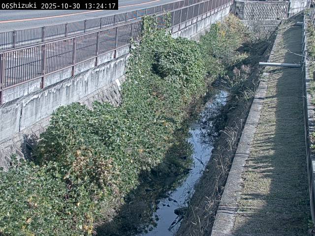 最新監視カメラ画像