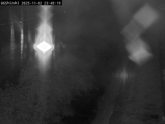 最新監視カメラ画像