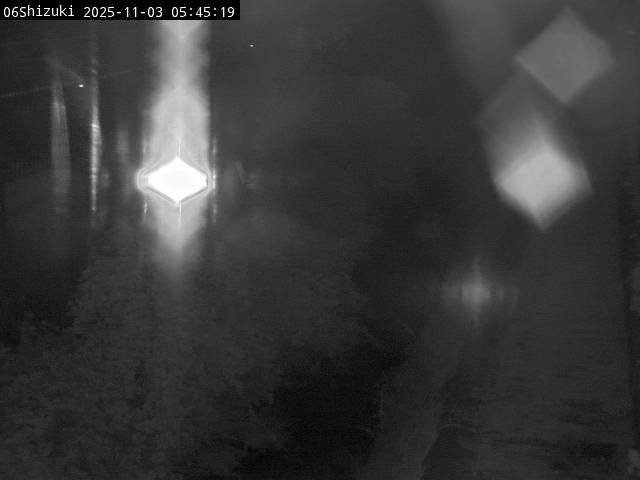 最新監視カメラ画像