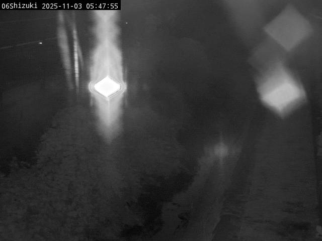 最新監視カメラ画像