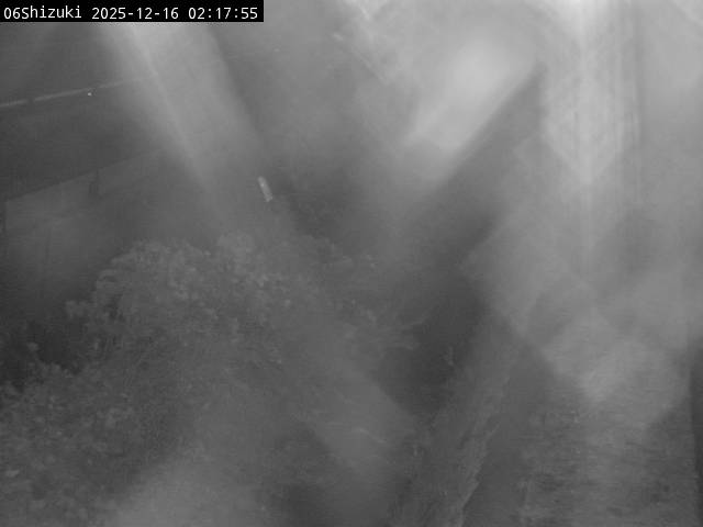 最新監視カメラ画像