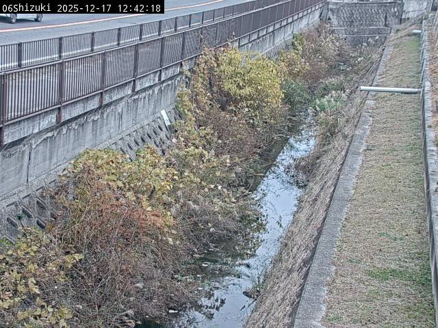 最新監視カメラ画像