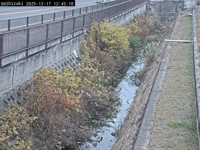 最新監視カメラ画像