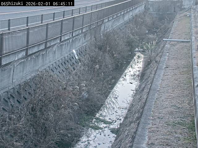 最新監視カメラ画像