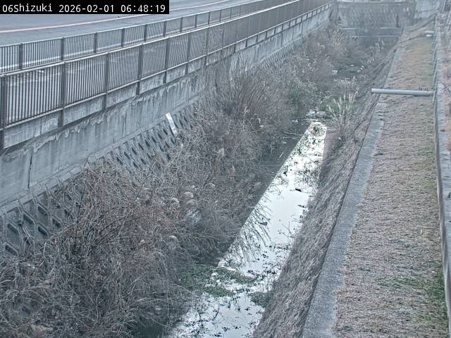 最新監視カメラ画像