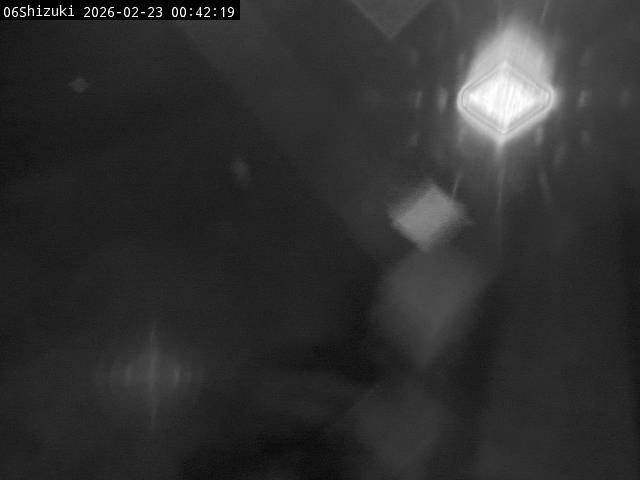 最新監視カメラ画像