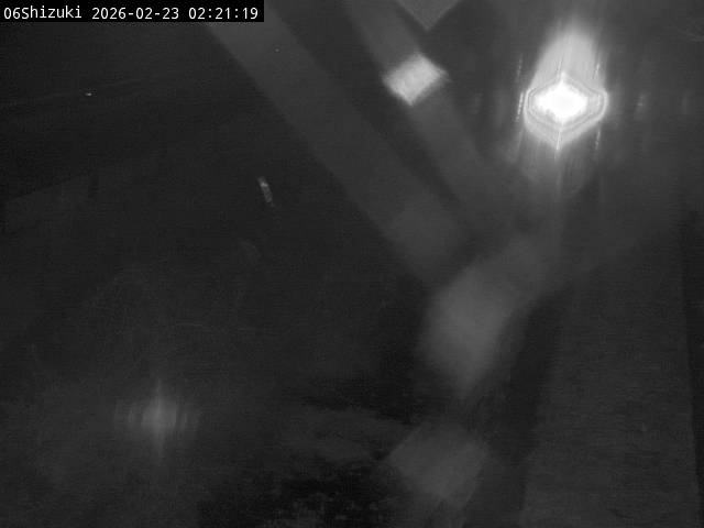 最新監視カメラ画像