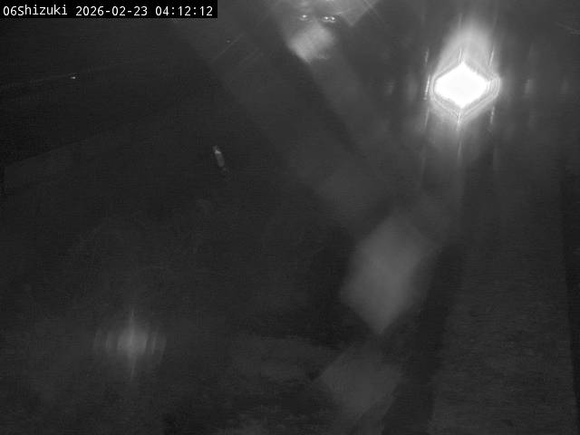 最新監視カメラ画像