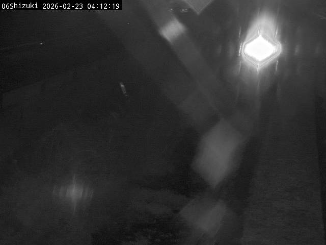 最新監視カメラ画像