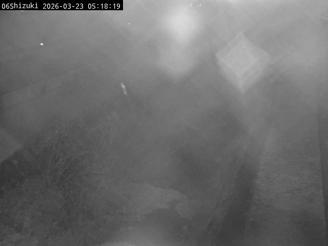 最新監視カメラ画像