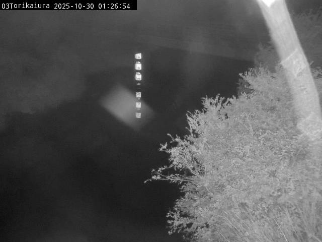 最新監視カメラ画像