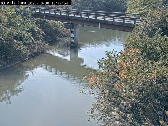 最新監視カメラ画像