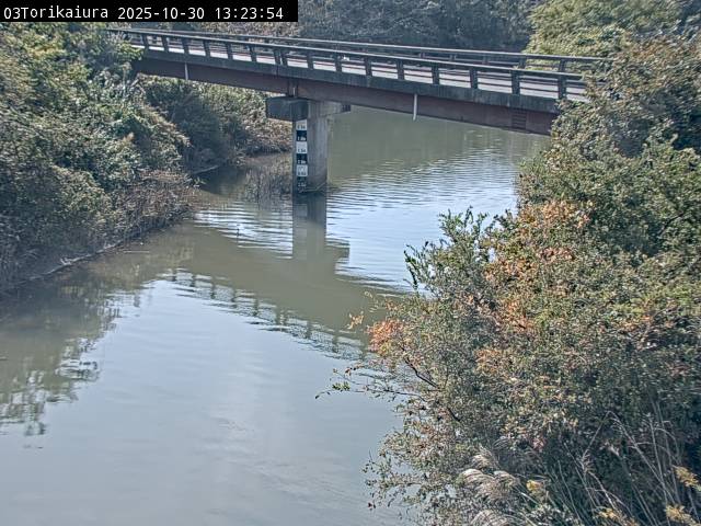 最新監視カメラ画像